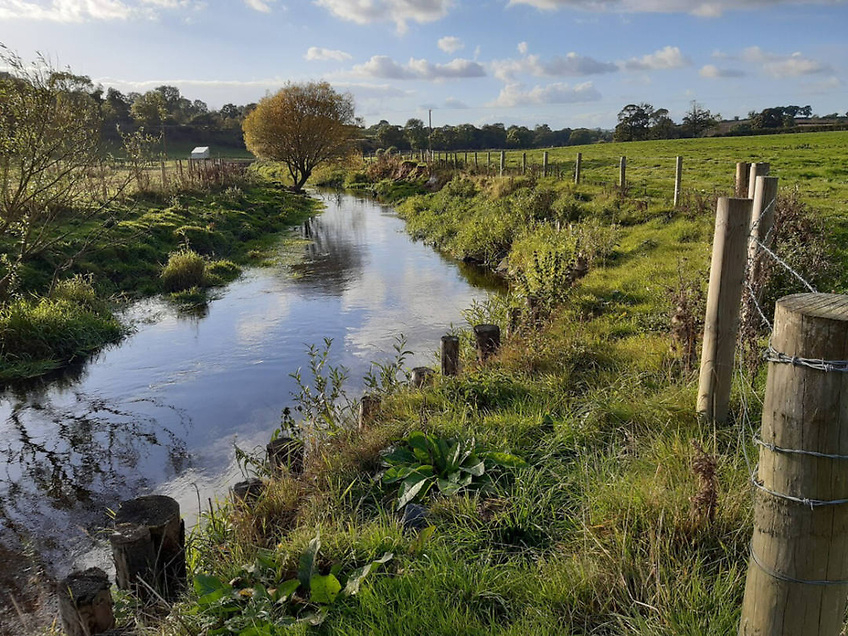 AfloatMagazine's tweet image. Loughs Agency Invests Over £1M in Fisheries Improvement Works in 2025 afloat.ie/port-news/loug… #Fisheries #EnvironmentalImpact #SustainableFishing #WaterQuality #WildlifeConservation