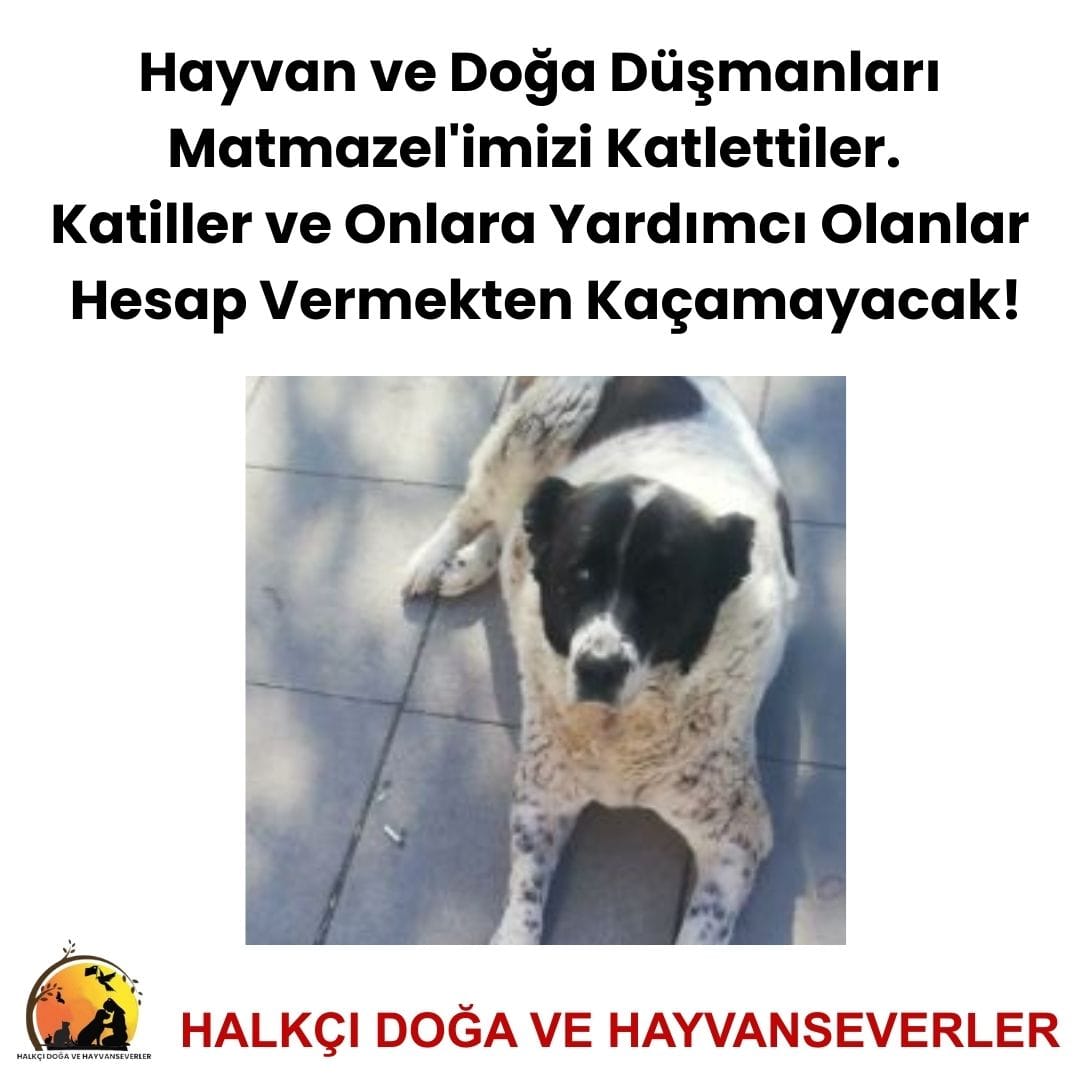 Halkçı Doğa ve Hayvanseverler (@dogavehayvansev) on Twitter photo 