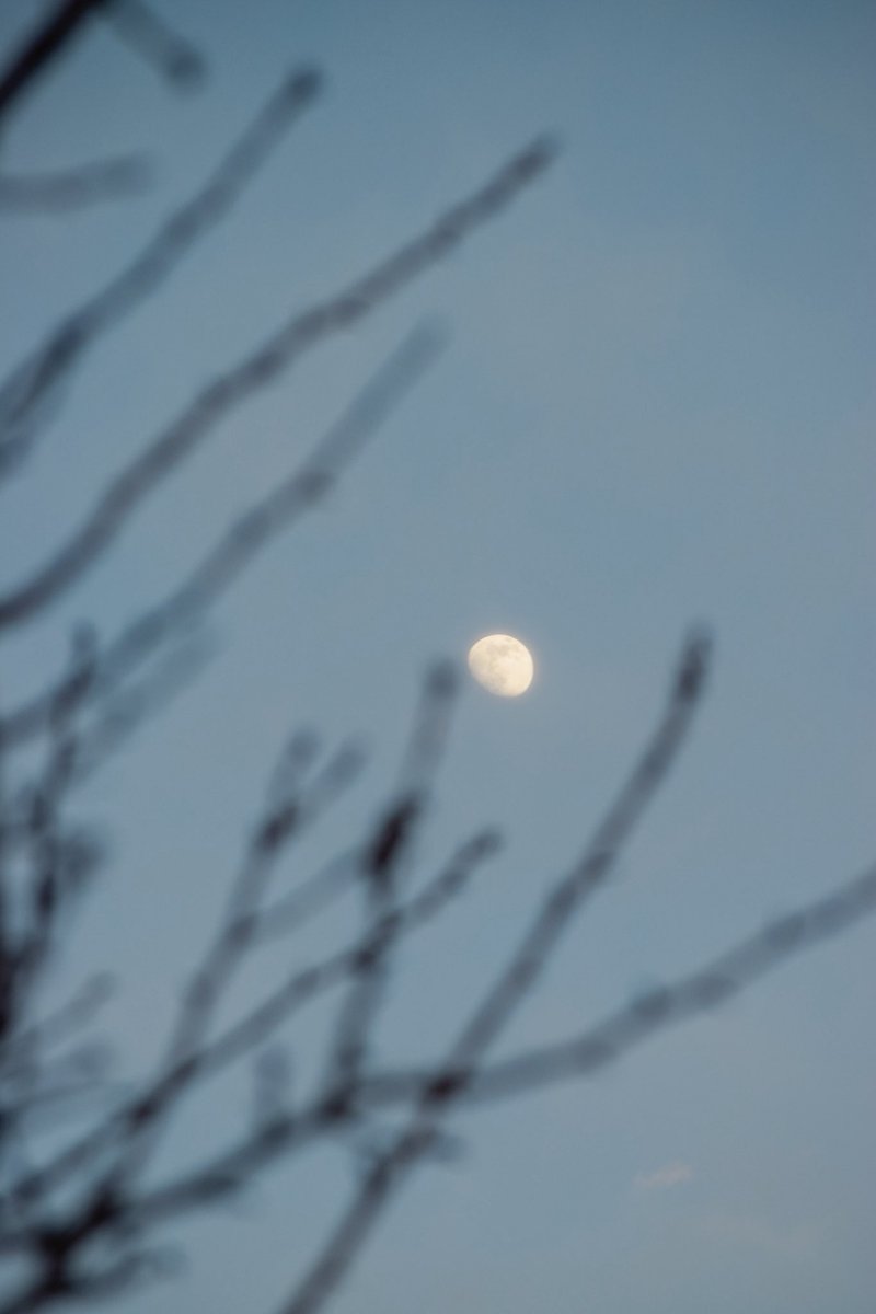 harerukitto's tweet image. #写真好きな人と繋がりたい #ファインダー越しの私の世界 #キリトリセカイ

好きな色