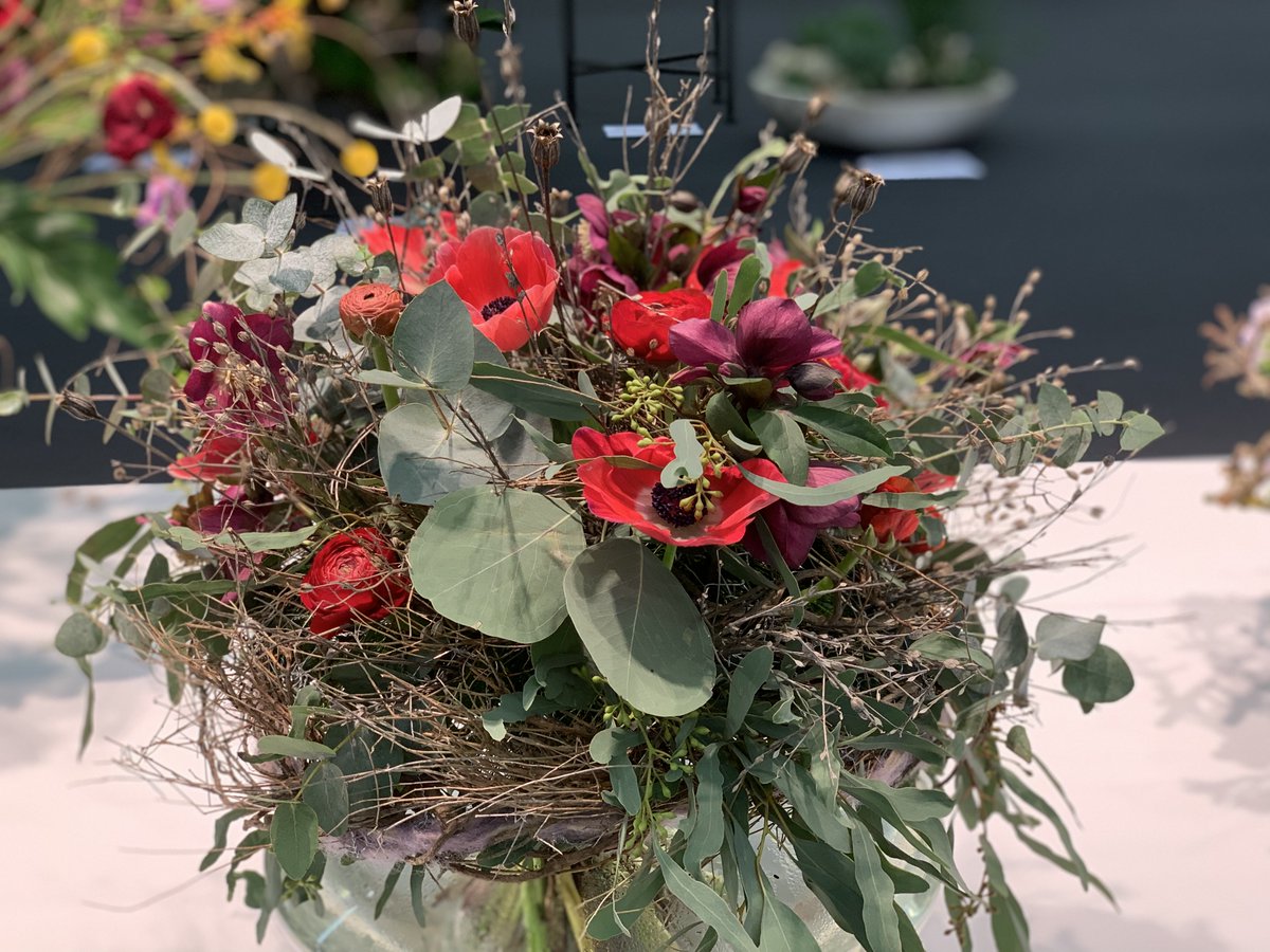 IPM Essen 2019. Astra Fund - цветы из Голландии по низким ценам.