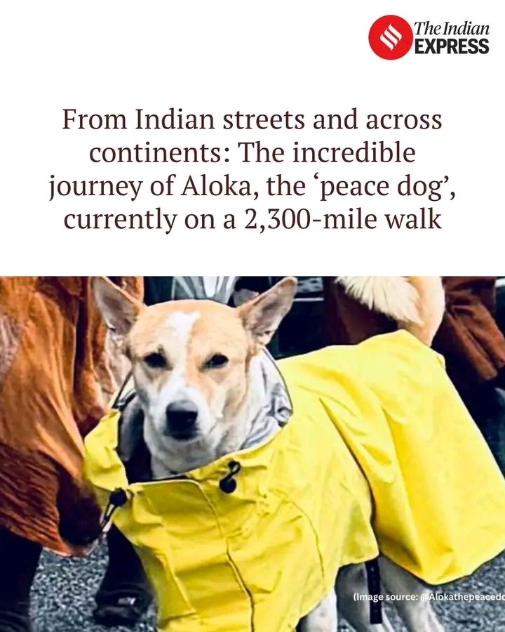 smallick82's tweet image. 