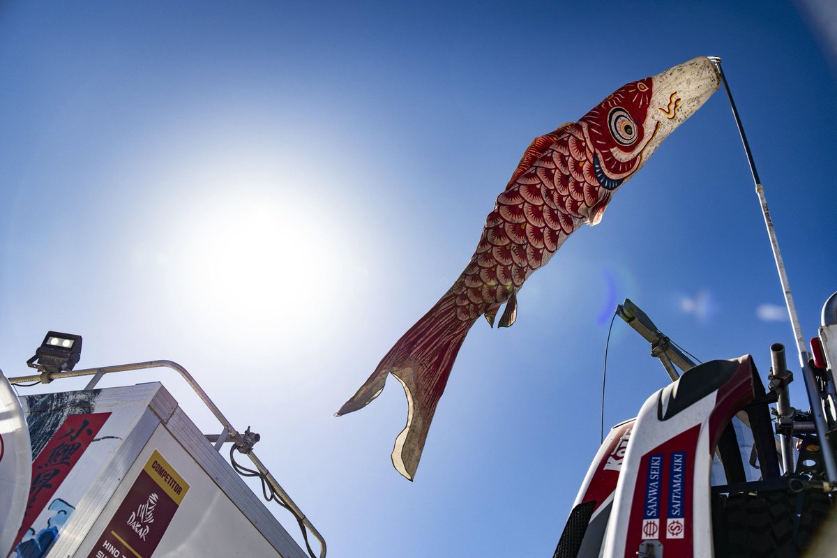 天空　鯉のぼり 庭園用鯉のぼりポール付フルセット 3m 4m スパークル鯉 【734304】<br