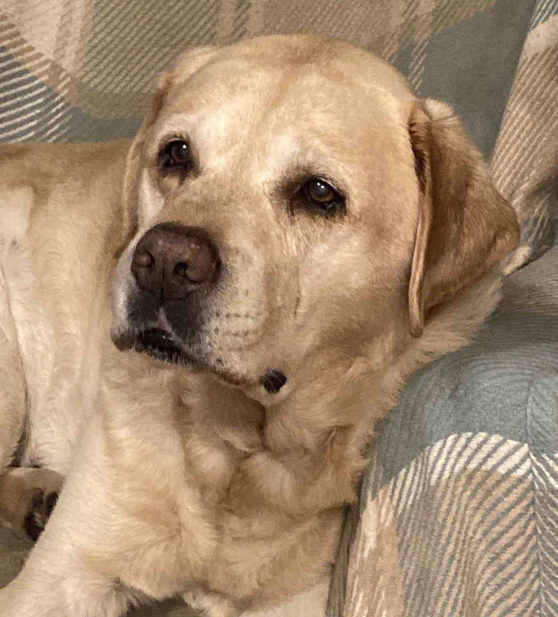 Angel Henry, Olly and Beth tweet media