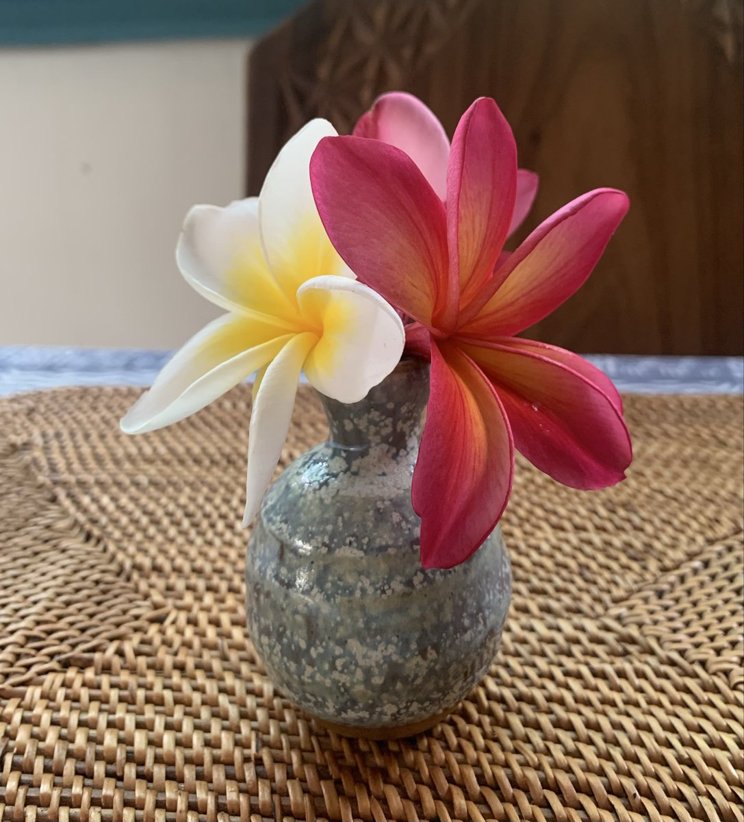 MichelleinFreo's tweet photo. It’s frangipani season. 
They smell so good! https://t.co/9jDpdxo1Ny