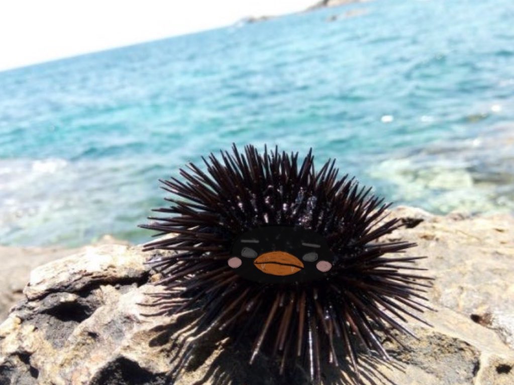 ㅋㅋㅋㅋㅋㅋㅋㅋㅋㅋㅋㅋㅋㅋㅋㅋㅋㅋㅋ