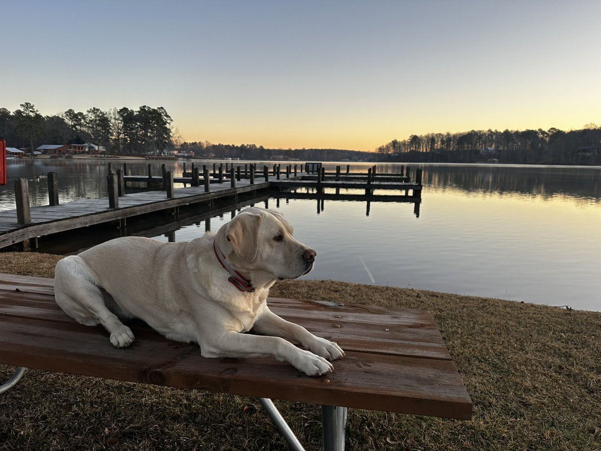 I get burned out pretty quick with world events which causes event triggered anxiety more often than I’d like to admit. Maybe I care too much. Not sure. 
But this is how I reset….everything. 

Good morning my friends. 🙏🏻