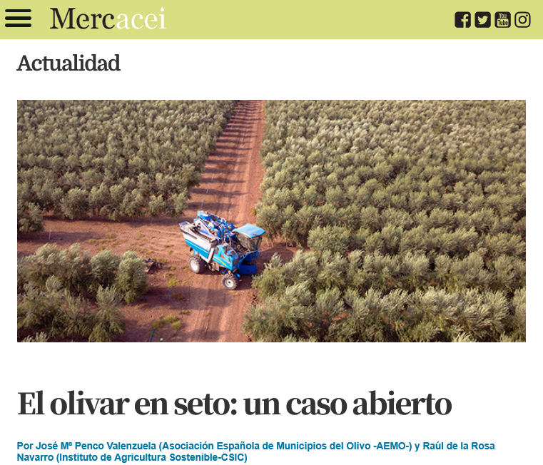 IAS_CSIC's tweet photo. 📚 🫒 El olivar en seto: un caso abierto
👉 Por José Mª Penco Valenzuela, @AEMO_Olivo y Raúl de la Rosa Navarro @raulrosanavarro  investigador del @IAS_CSIC entre las 20 noticias más leídas durante el año 2025
#cienciaparalagricultura #CSIC @CSICdivulga  
https://t.co/vim2sjmpzG https://t.co/W1pbUNToZV