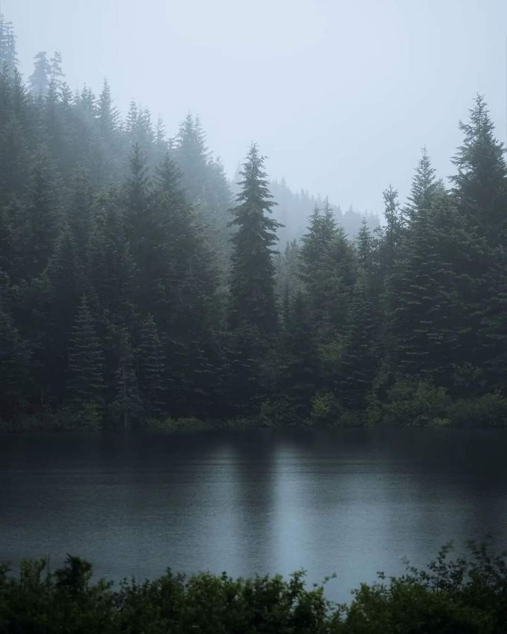 𝕰𝖑𝖊𝖒𝖒𝖎𝖗𝖊 tweet media