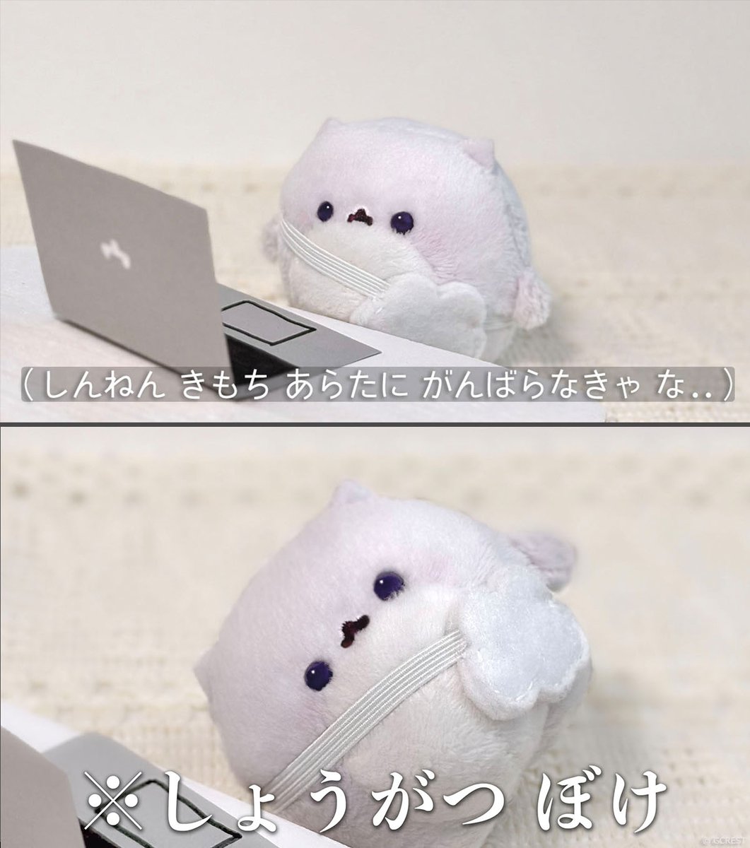 ぽるちゃん&フレンズ🛸ゥ星人〖公式〗 (@por_u_chan) / Posts / X