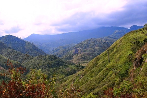 PARQUE NACIONAL SIERRA DE PERIJÁ. #Zulia. Fue decretado el 12 de diciembre de 1978, en la primera gestión presidente Carlos Andrés Pérez. Tiene un área de 295.288 hectáreas. #ObrasDeLaDemocracia
