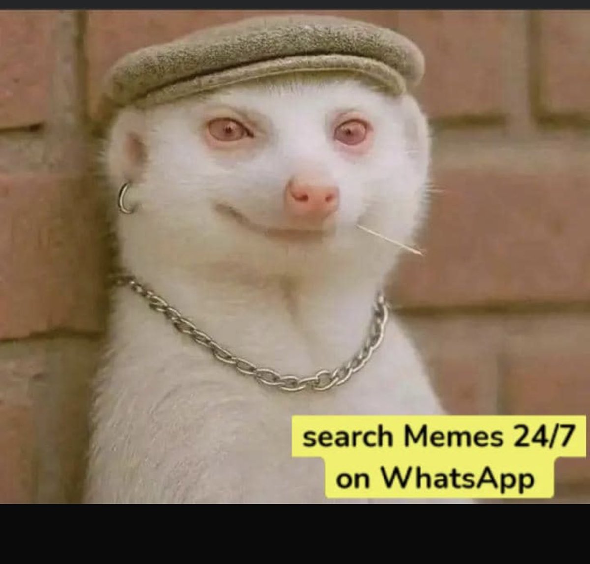 Ecstaticdepoder's tweet image. After secretly using my girlfriend’s lotion for a week