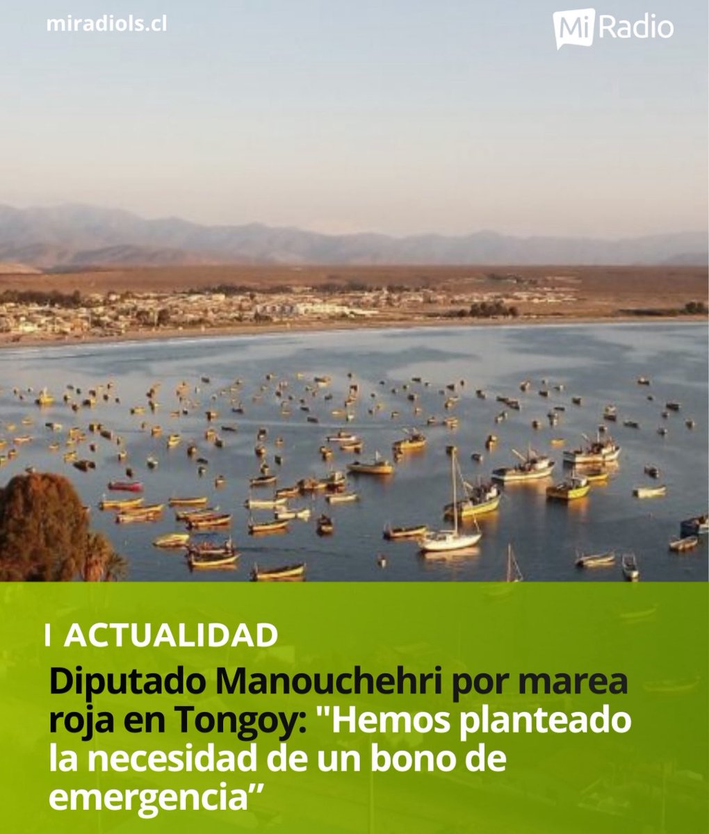 danimanouchehri's tweet image. Esta es una situación crítica que afecta a pescadores artesanales y productores de Tongoy. Son cientos de familias de Coquimbo afectadas. Hemos tomado contacto con el Ministerio del Interior para hacer ver la gravedad de este tema. Se requieren todas las voluntades, incluidas las…