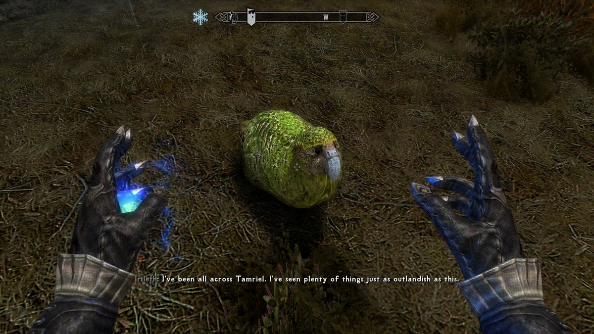 crescentmoontea's tweet image. ma'am that's a kākāpō