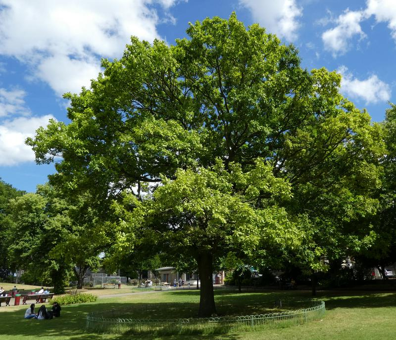 Walk Reading tweet media