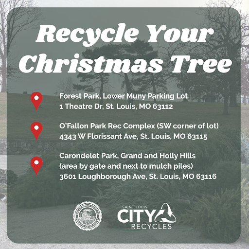 These City parks will accept Christmas trees now through January 31st:
Forest Park, Lower Muny Parking Lot (1 Theatre Dr, St. Louis, MO 63112)
O’Fallon Park Rec Complex (SW corner of lot) (4343 W Florissant Ave, St. Louis, MO 63115)
Carondelet Park, Grand and Holly Hills