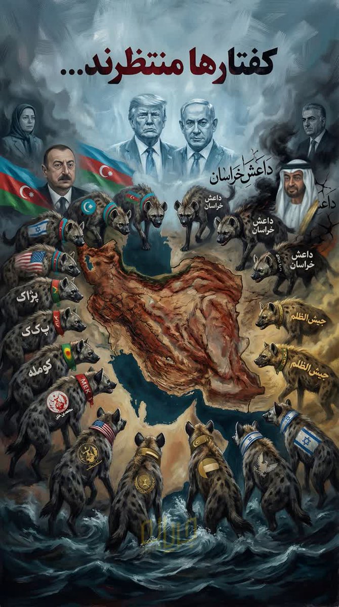 شهربانو نصر tweet media