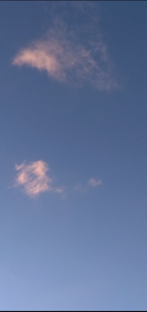 💕藤華💕 tweet media