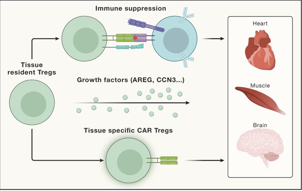 Eric Topol tweet media