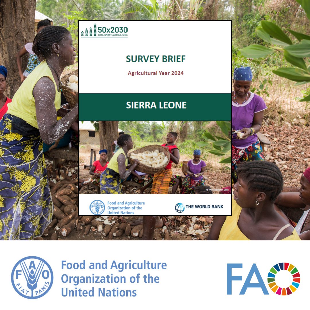 FAO Statistics tweet media