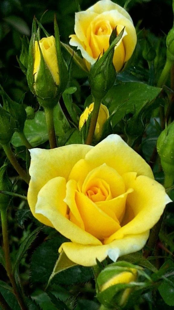 Amazing eyes (@amazingeyes89) on Twitter photo 