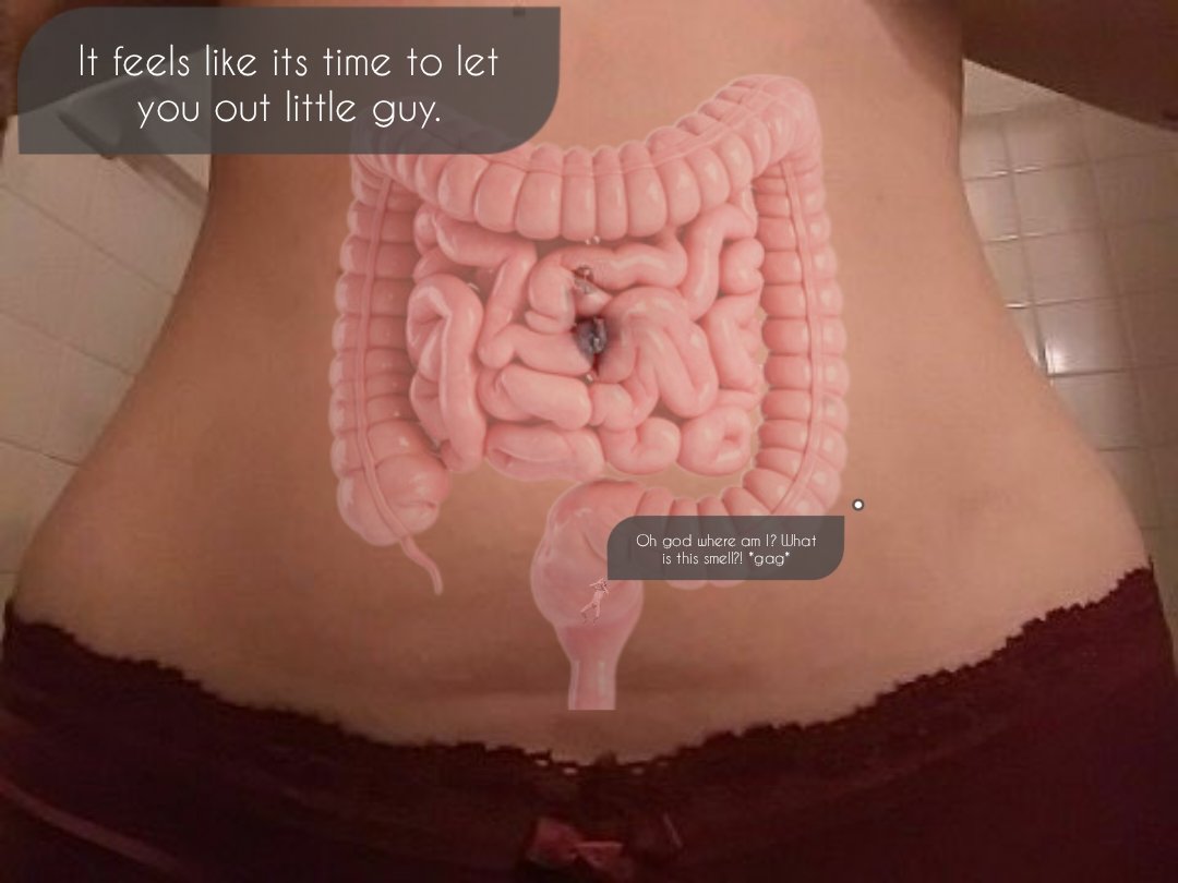 Timdejong179's tweet image. A journey through @GiantessKayla Part 5/6

You had passed out in Kayla's stomach but your body continued going through her digestive system. Once you were at the end of it you woke up again and found yourself in a terrifying scenario.

#Sizetwitter #Vore #Giantess