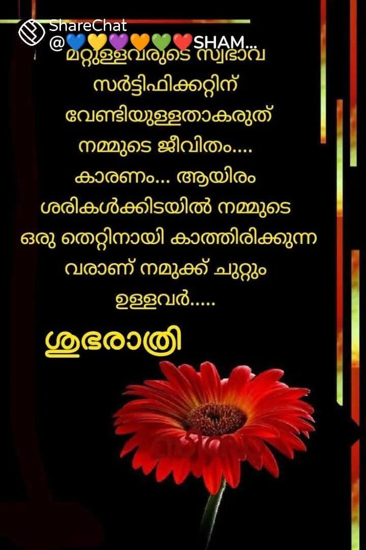 എന്റെ ഗുഡ് നൈറ്റ്‌ ❤️