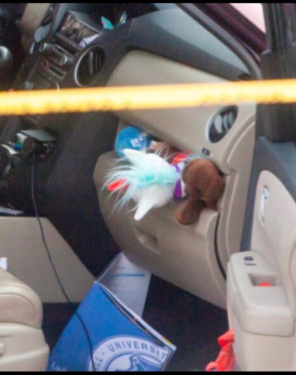 juncalssolano's tweet image. Ayer el ICE mató a una mujer bajo el argumento de ser una “terrorista doméstica” 
esto era lo que llevaba en su camioneta, juguetes 🧸 de sus hijos. 

🚨El PRIAN CUANDO PIDE INTERVENCIÓN EN MÉXICO, QUIERE ESTO 🚨