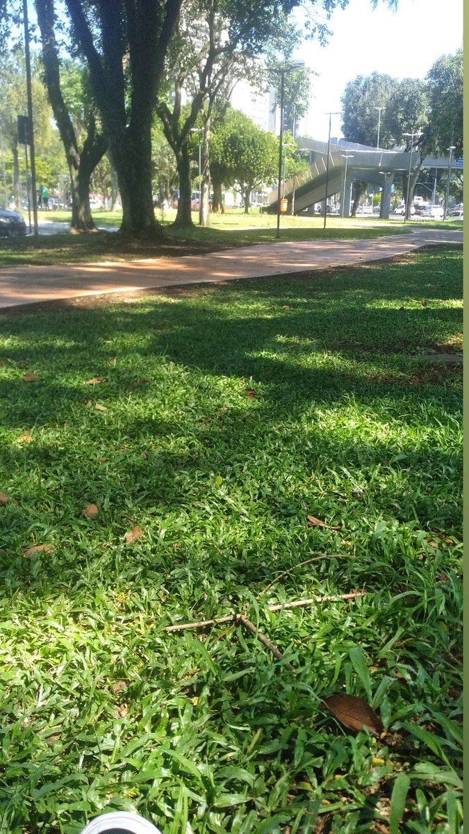 Fan Club Andre 3000 tweet media