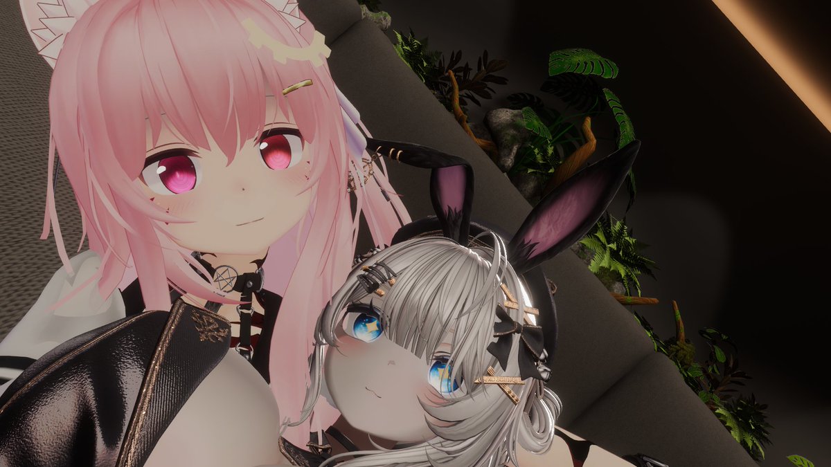 たれよねこぷらすたすたすなんばーさいん tweet media