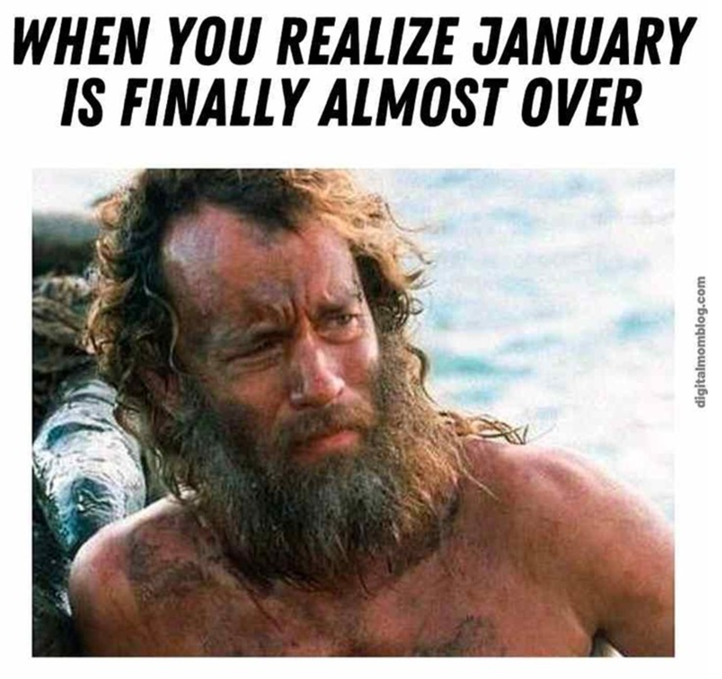 Festive Lights Ltd ✨ tweet media