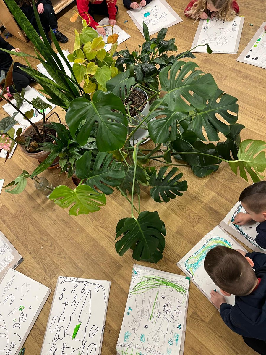 Cherry Grove EYFS tweet media