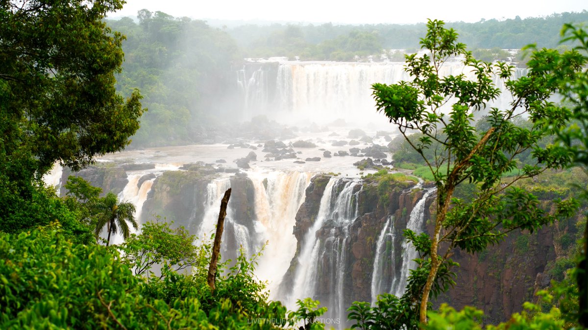 LTLProductions_'s tweet photo. CATARATAS DE IGUAZÚ 

Un auténtico espectáculo de la naturaleza, vistas desde el lado Brasileño 

#iguazu #iguazú #iguazufalls #cataratasdoiguaçu #cataratasdeliguazu https://t.co/5EaE9qO66n