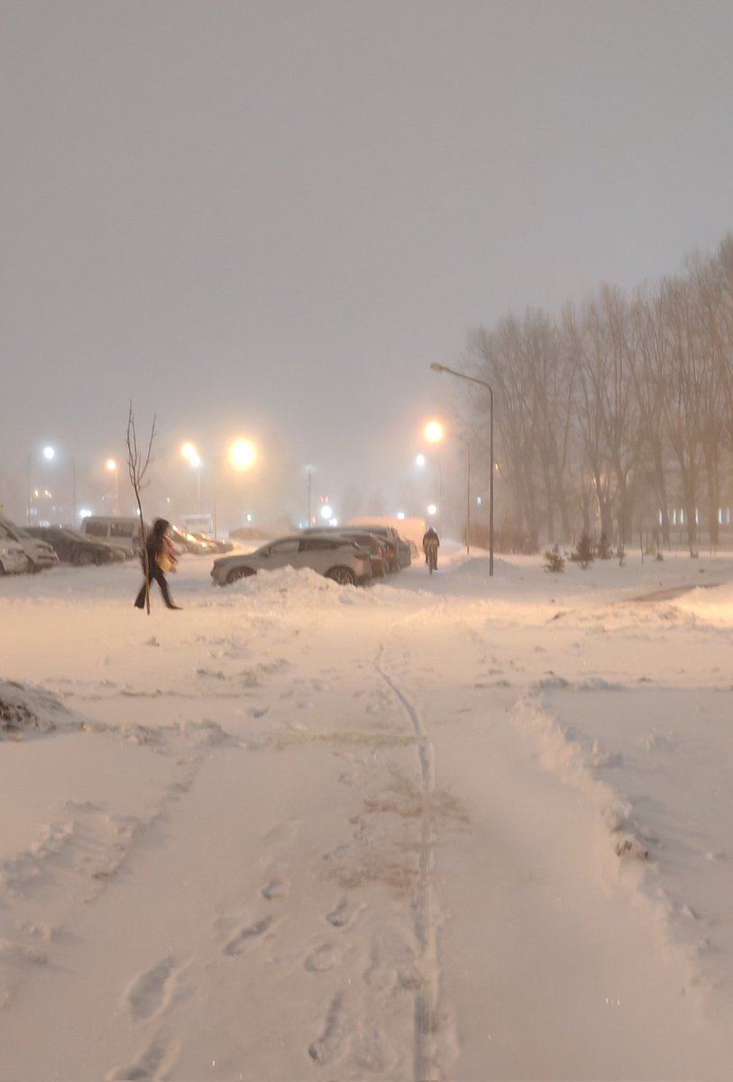 Я.доставщика на велосипеде снежной бурей не испугать )