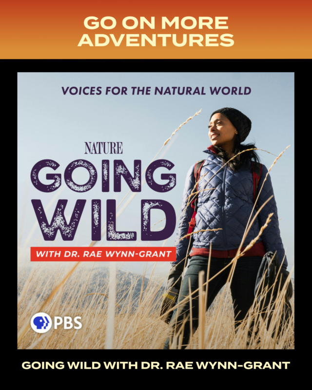 Signal Awards tweet media