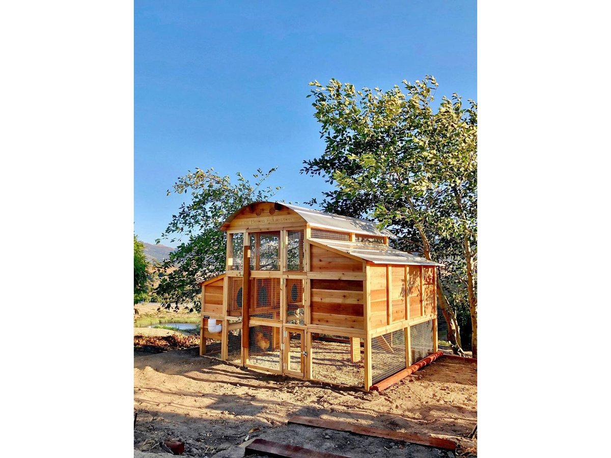roostnroot's tweet photo. This Round-Top Walk-In is so dreamy! https://t.co/dQciuA8p39