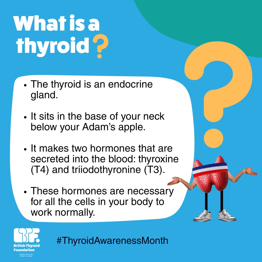 BTF Thyroid tweet media