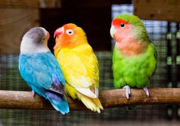 " الغيرة ليست شكاً .. وإنما هي دفاع عن ممتلكات القلب "