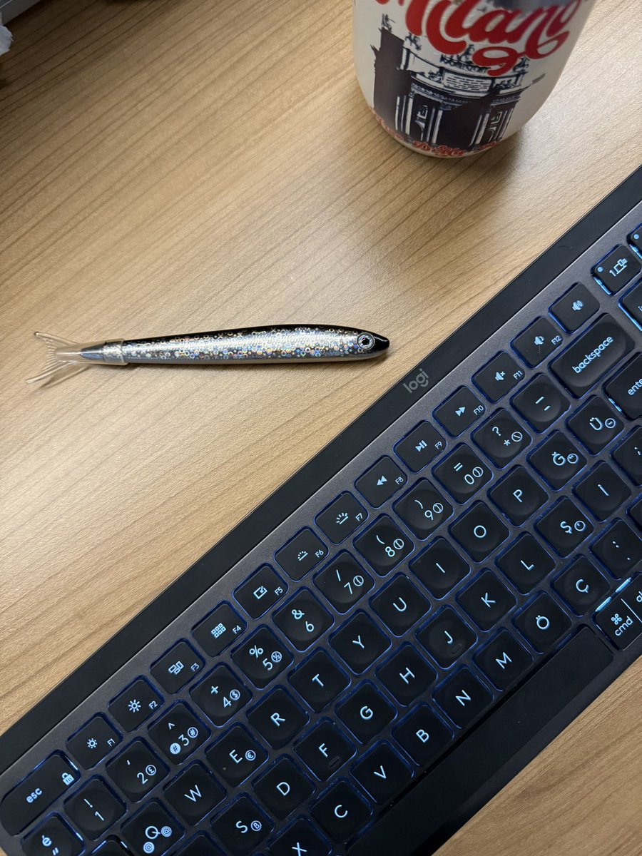 fullsteakci's tweet photo. Hamsilere en yakışacak yılbaşı hediyesi ektedir 😂🐟 https://t.co/o6lOYsnW3T