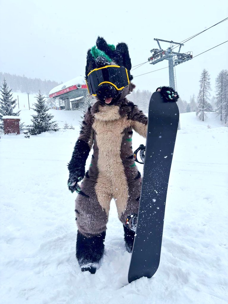 Let's strap in and hit the slopes. You ready? ❄️