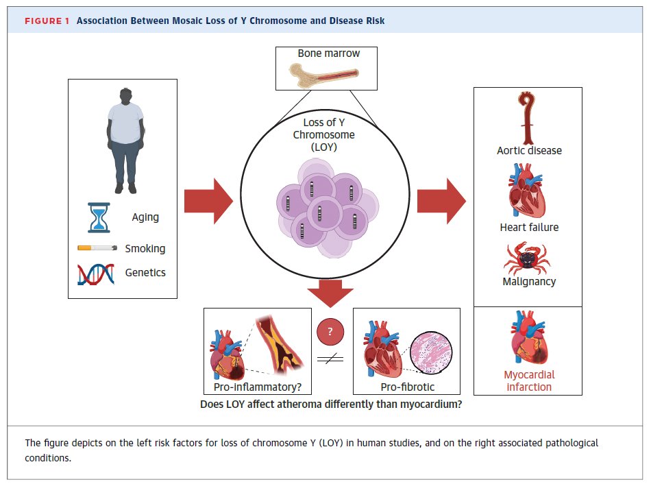 Nicholas Chiu, MD MPH tweet media