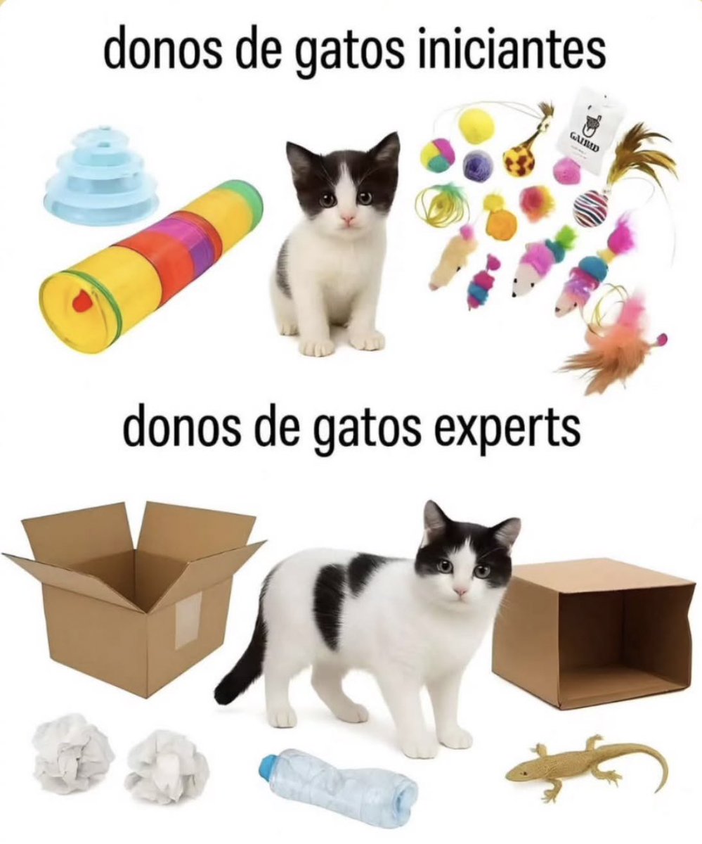 gatinarios's tweet image. 