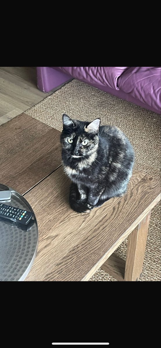 Robin de la Bûche tweet media