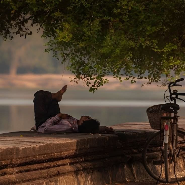 فُصحى . tweet media