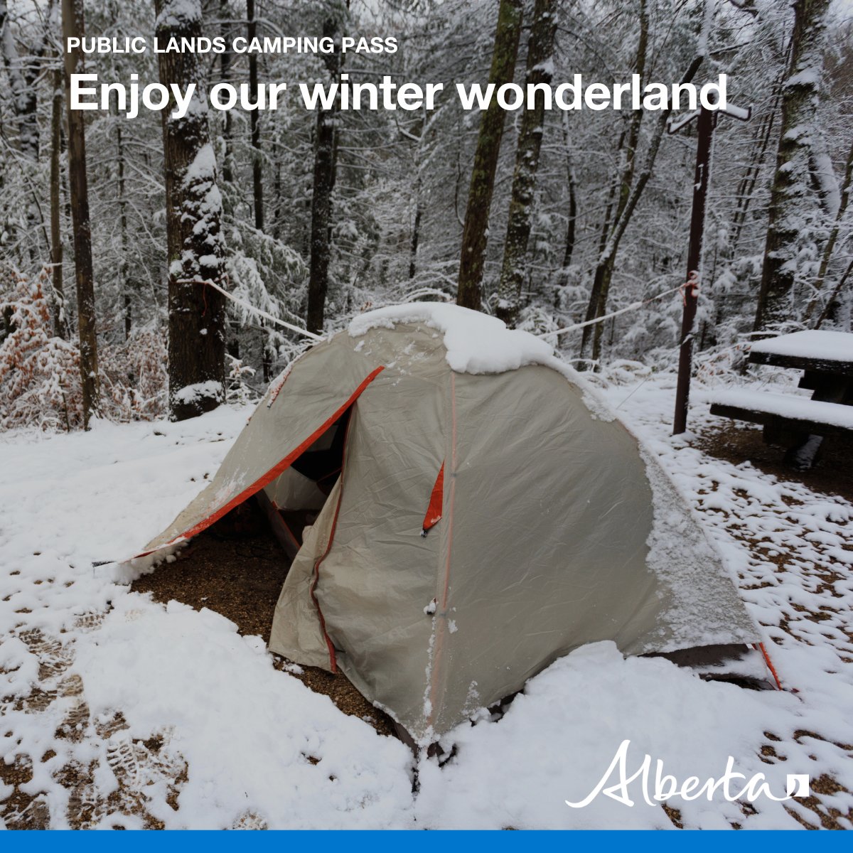ABForestryParks's tweet image. Quiet. Serene. Majestic.

Winter camping is a peaceful way to enjoy Alberta’s wonderland.

Grab your Public Lands Camping Pass and get outdoors.

Learn more: alberta.ca/campingpass