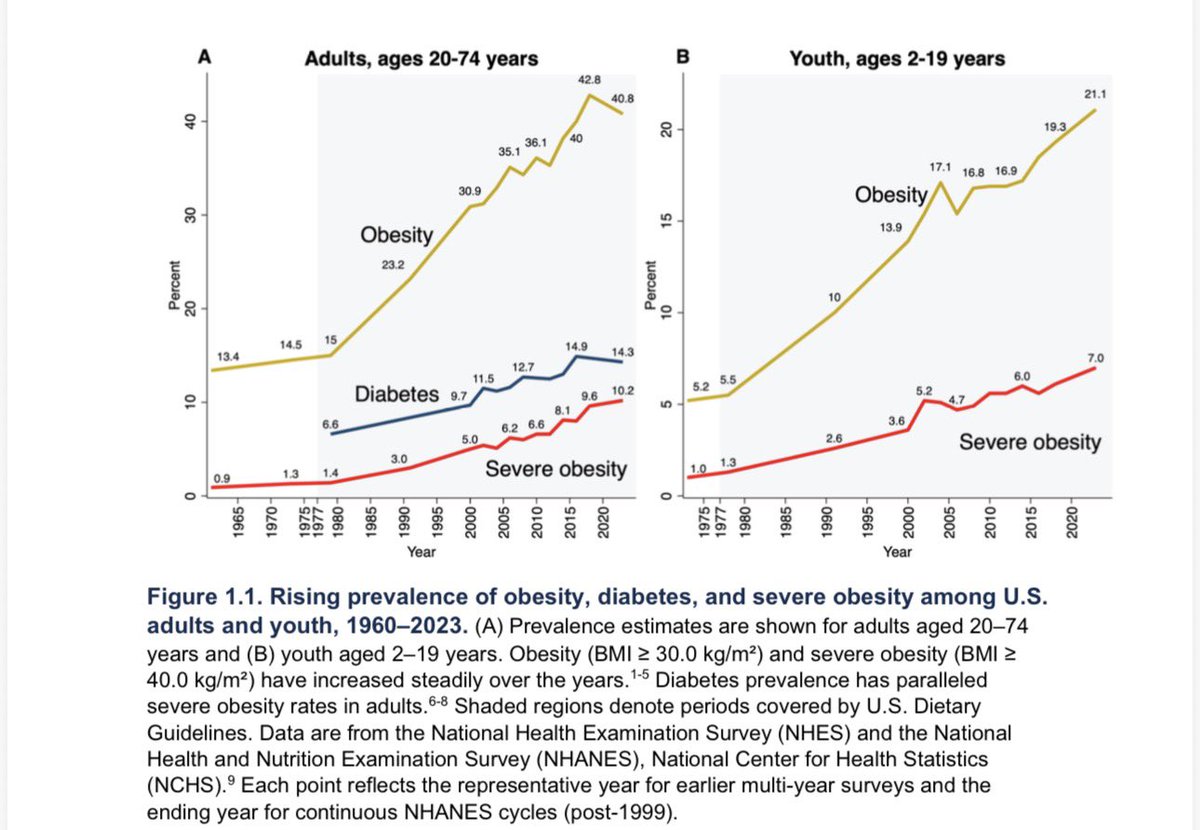 Vanessavillavicencio tweet media
