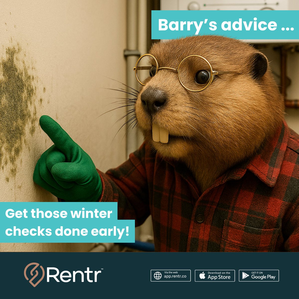 Rentr_co's tweet image. Cold weather = mould weather. Check your properties now so you’re not slapped with a 14-day Awaab’s Law deadline later. Less chaos, more Rentr. eu1.hubs.ly/H0qp9N10

#AwaabsLaw #FixItFast