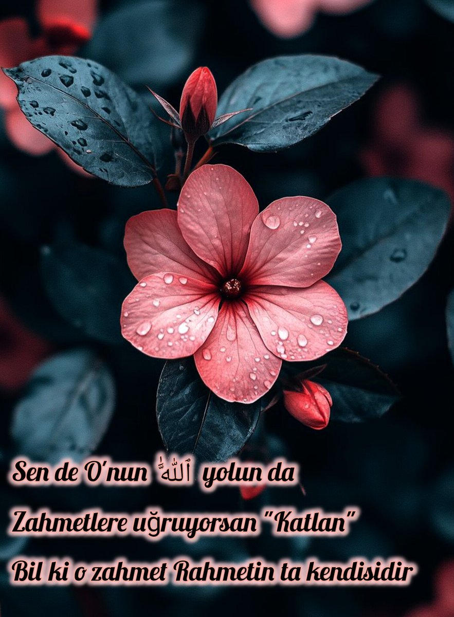 ............

"Bir mûsibete
Marûz kalırsan,imdad ellerini Rabb'ine kaldır
O'ndan yardım iste,O'ndan meded bekle"

"Rabb'inin
Senin hakkında ki hükmünü sabırla karşıla
O'nun Rahmetinden asla ümit kesme"

Ahmed Er-Rûfâî k.s                                               ............