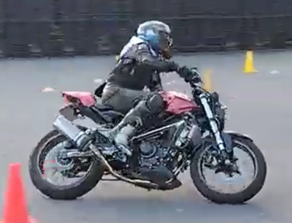 とむー ユニセックス PUMA x TMNT スウェード XL スニーカー Vine-Gum