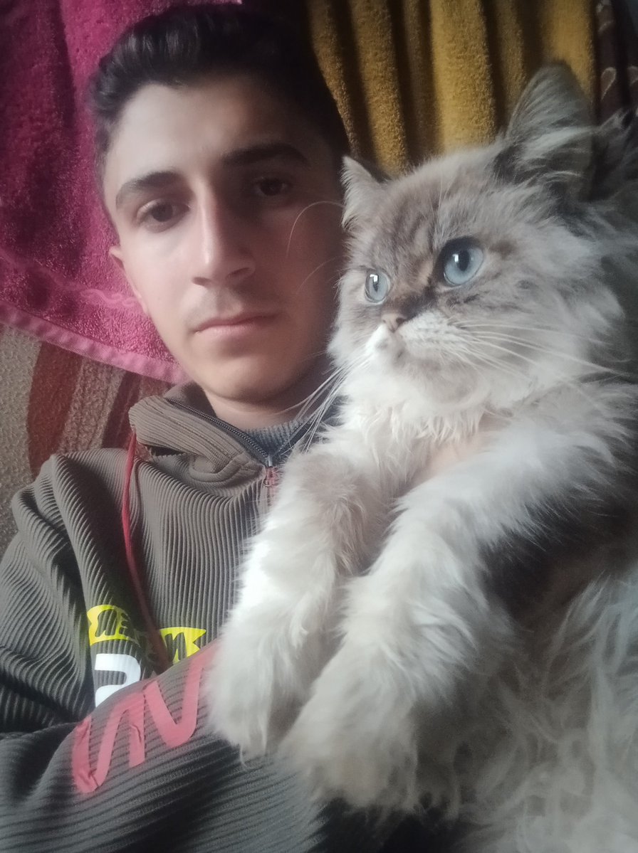 I beg you, share this post

I beg you again

This link is our only hope to survive

Donate please: 🥺 
chuffed.org/project/129302…

paypal.me/alatahelluin