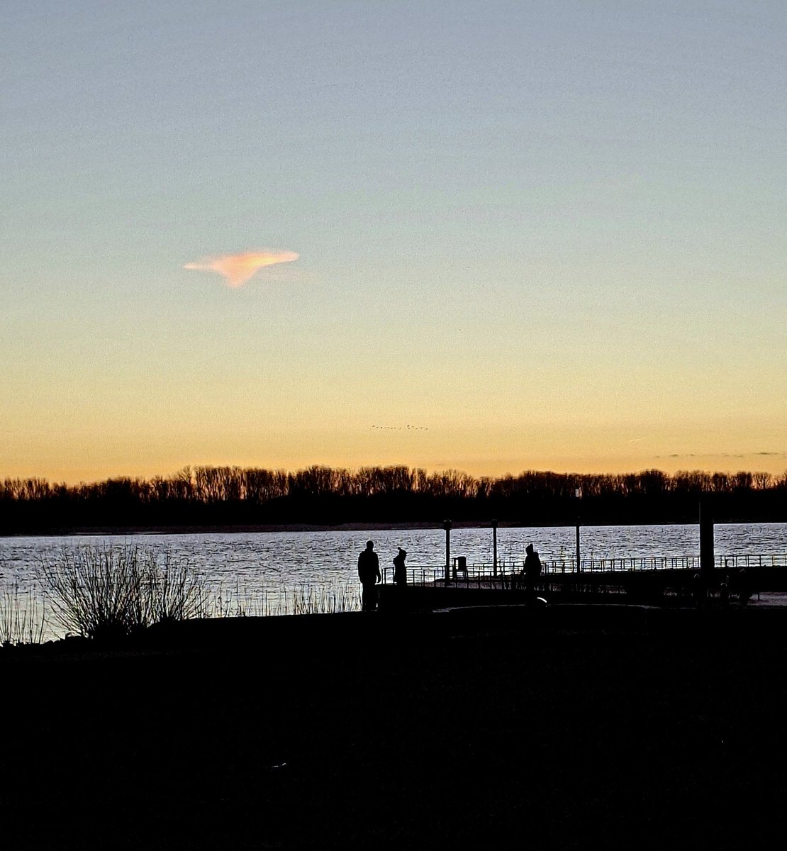 chriz31_07's tweet image. Share QP your favourite December Shots📸 

#Photography
#December #nature